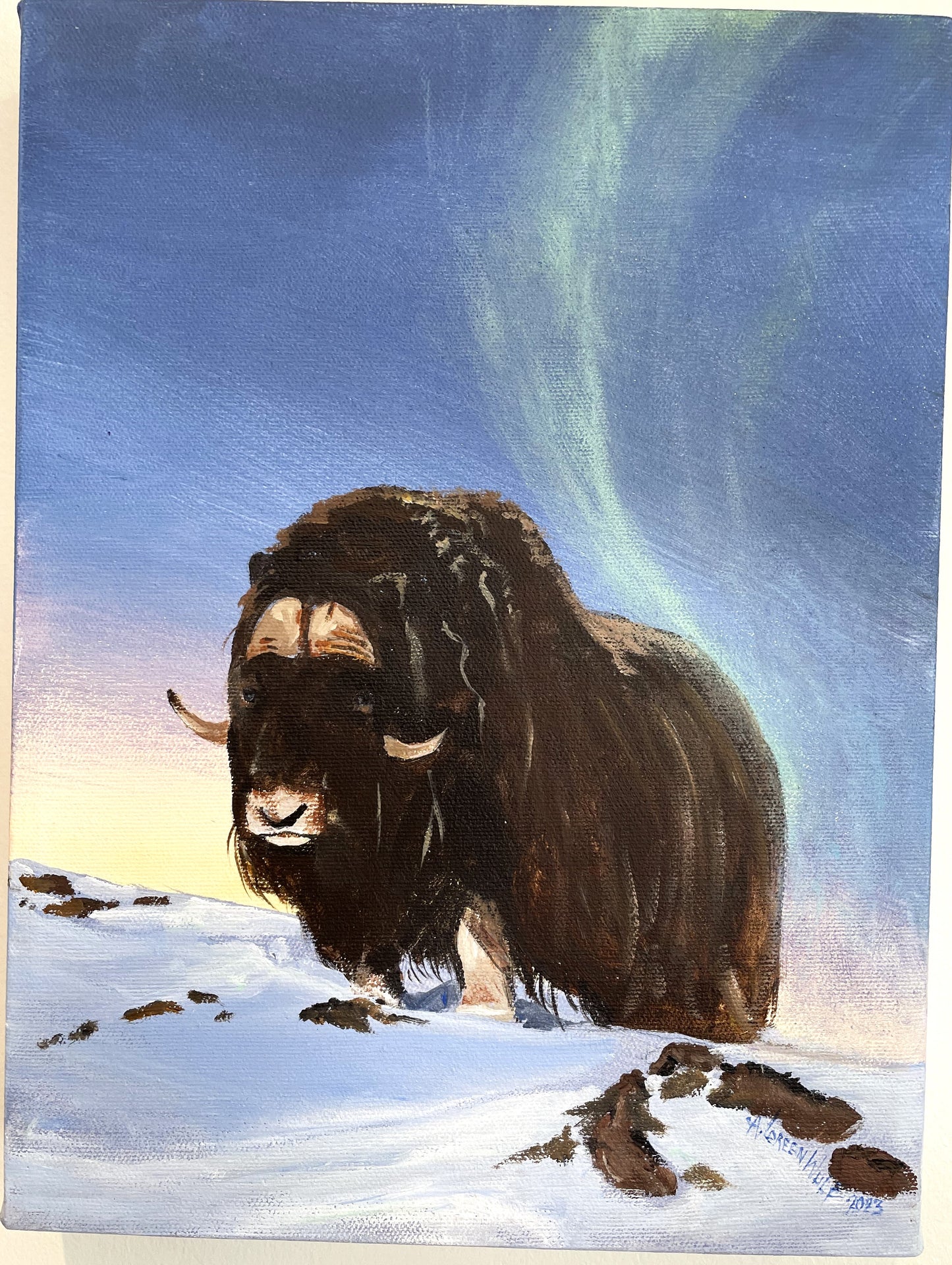Musk Ox Paintings