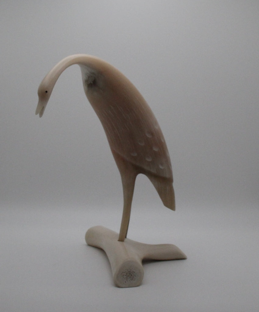 Musk Ox Horn Carving