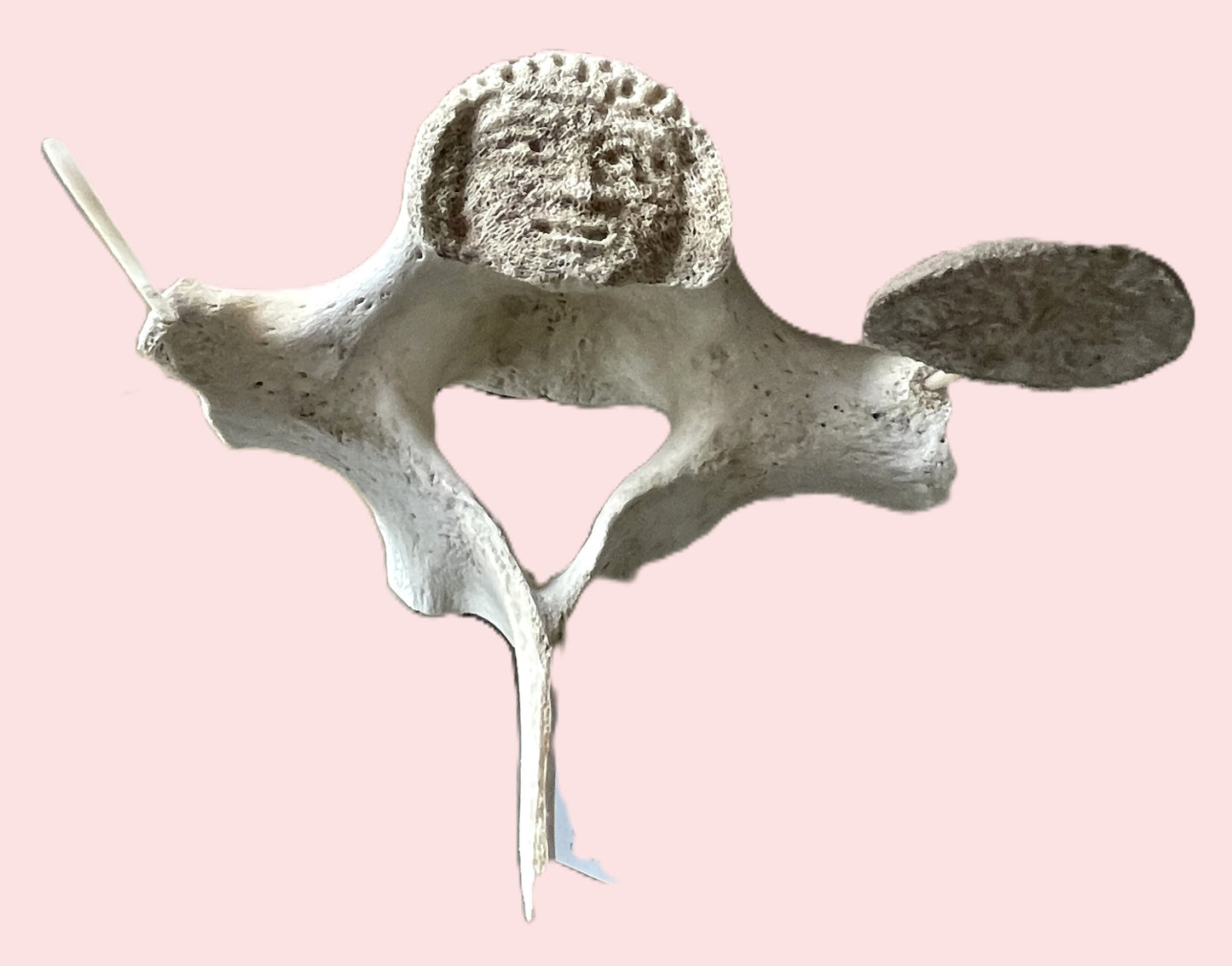 DRUMMER ON BULGA WHALE BONE